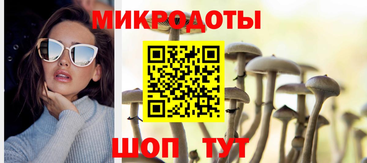 Альфа ПВП Улан-Удэ